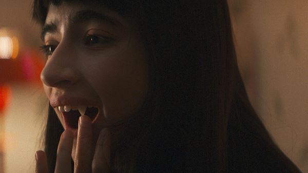 (C)Belles canines inc. - 2023 Tous droits reserves.