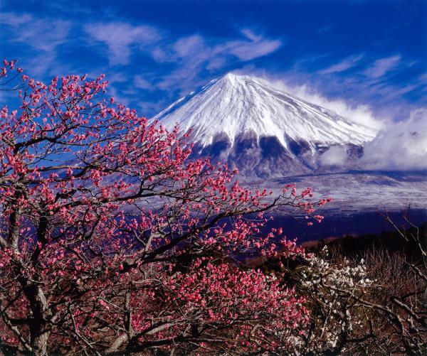 提供：一般社団法人富士山観光交流ビューロー