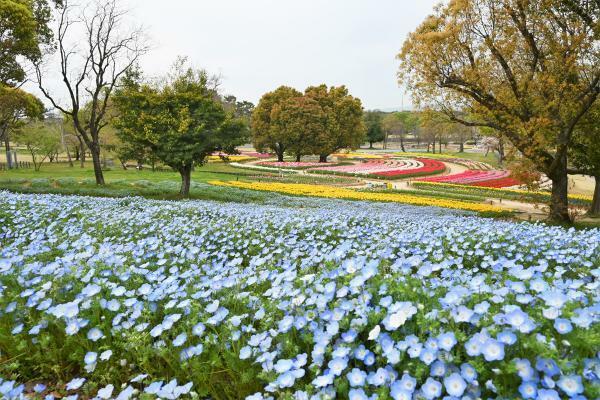 提供：万博記念公園マネジメント・パートナーズ