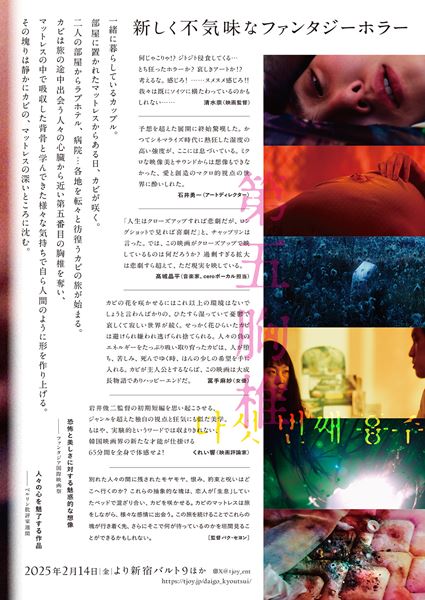 (C)THE FIFTH THORACIC VERTEBRA