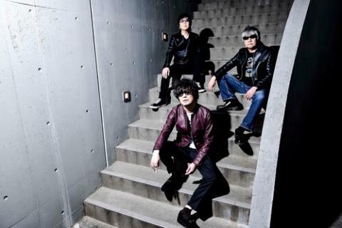 the pillows