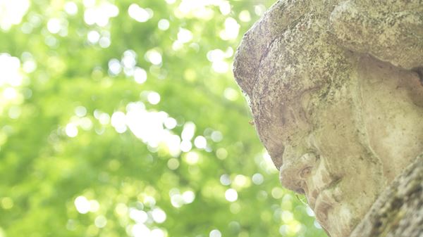 (C)有限会社龍村仁事務所