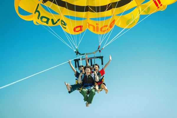 /shared/materials/e7e72a7a-c3fd-44ed-b686-30ef6aa7c5b8/thumbnail