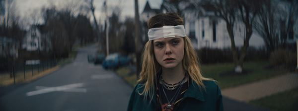 (C)2018MARKED LAWNS LLC.