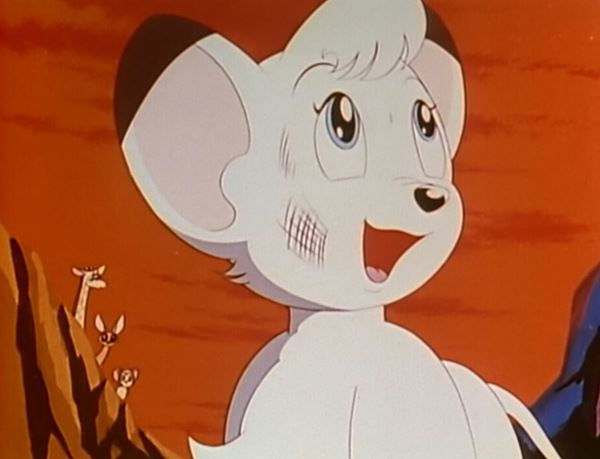 (C)Tezuka Productions