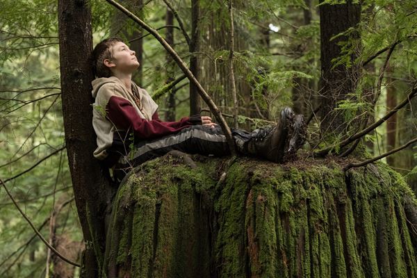 (C)2019 -  BBP LOML, LLC