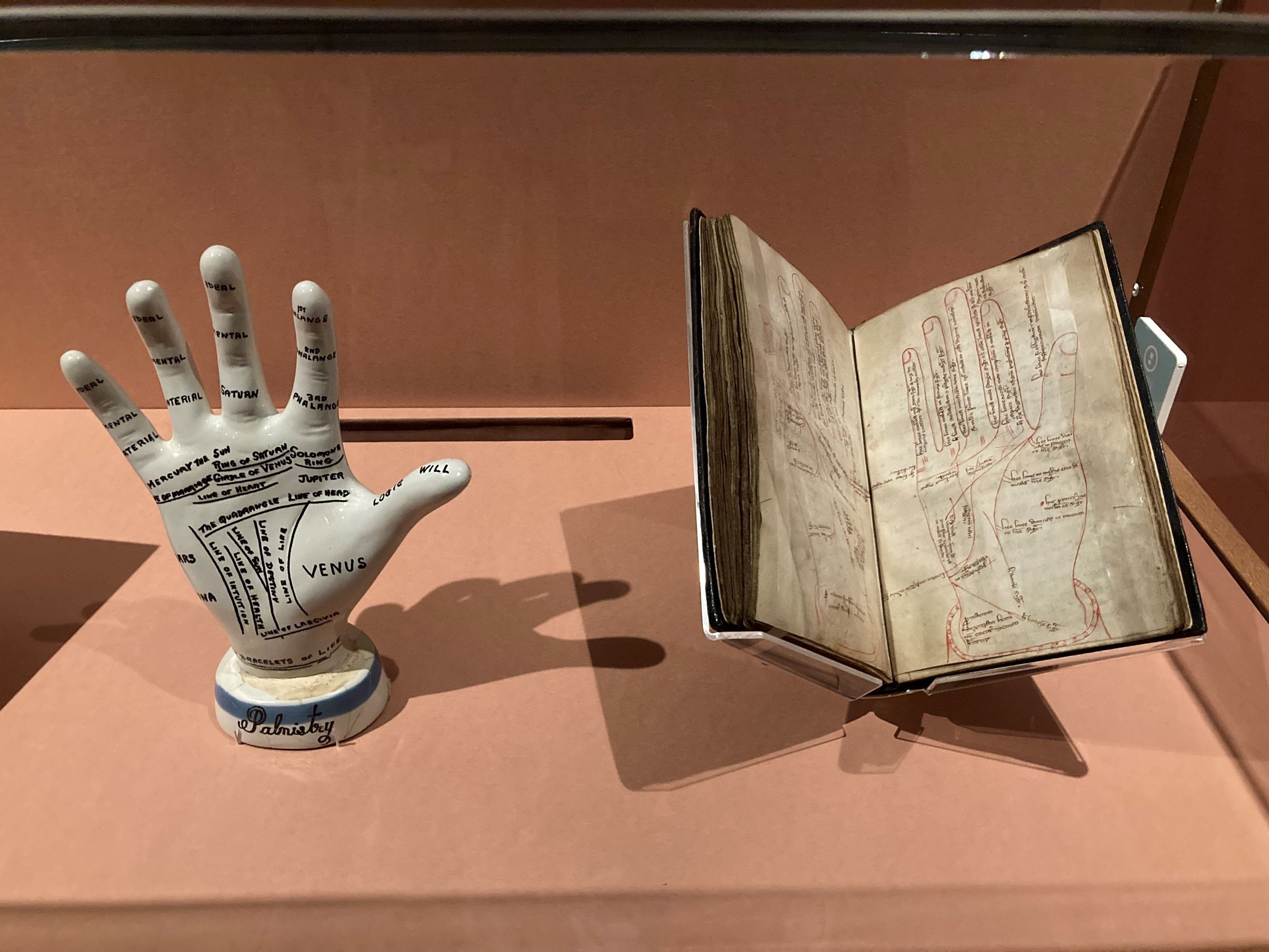 （左）「手相模型」魔術・魔法博物館蔵　（右）「占いに関する写本」イングランド　14世紀　大英図書館蔵