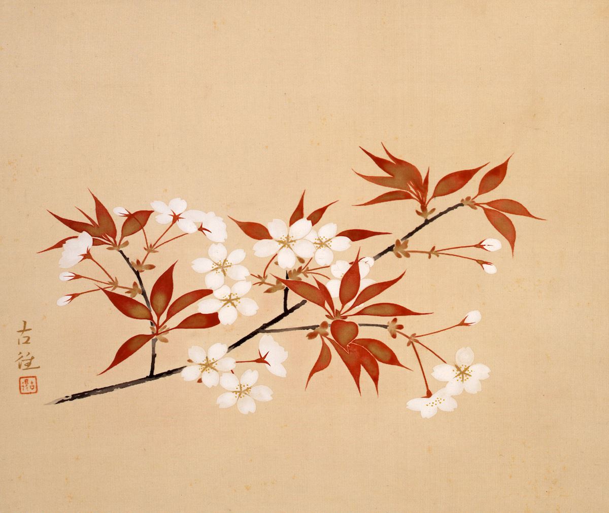 小林古径 《桜花》 1933(昭和 8)年頃 絹本・彩色 山種美術館