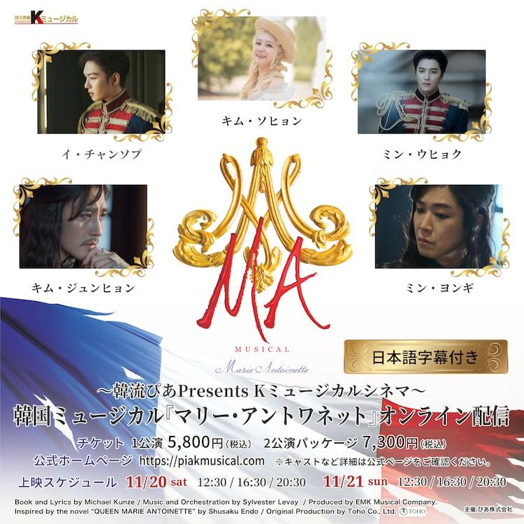 ミュージカル マリー・アントワネット DVD2018 - ミュージック