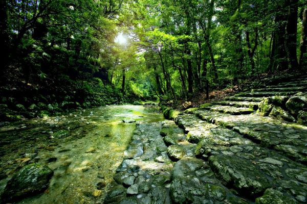 (C)2014 Masaaki Miyazawa/Jingu all right reserved. (C)2014 Sustain able Investor