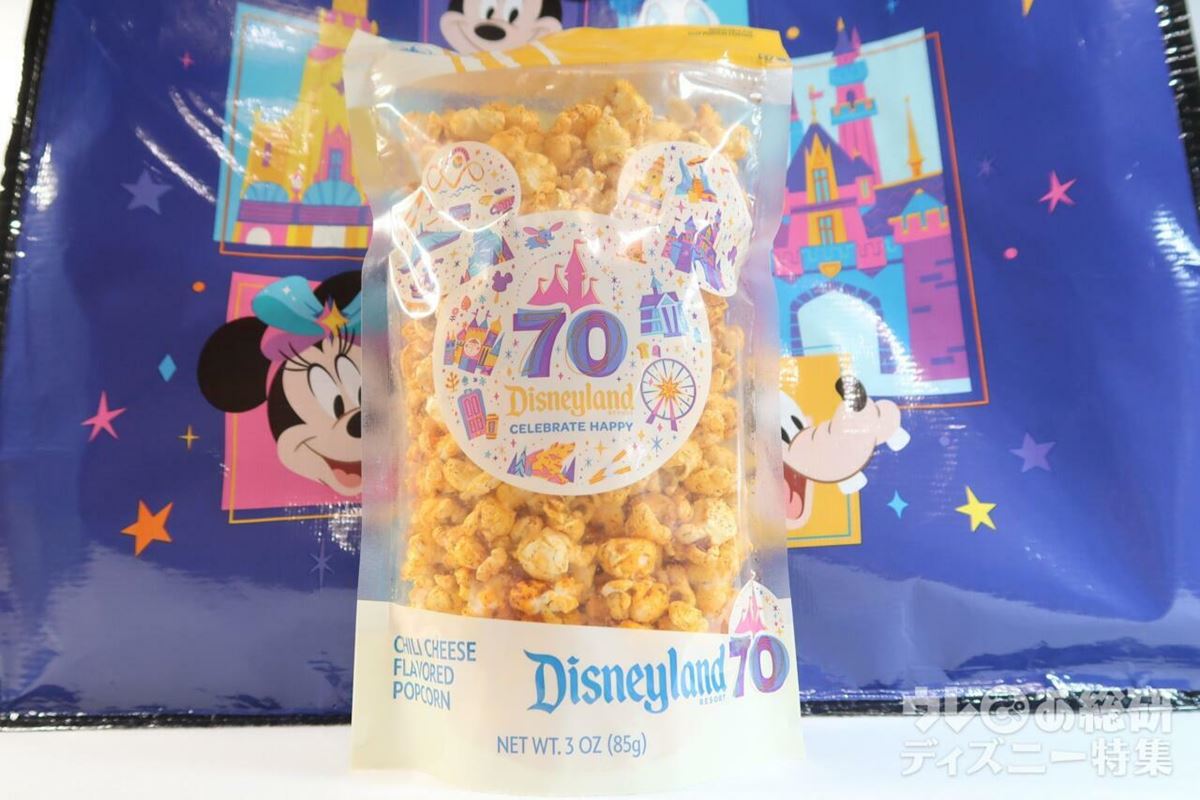 ディズニーランド　70周年　開園日　ガイド　ピン　シール　セット ディズニーランド 70周年 開園日 ガイド ピン シール セット