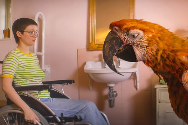 (C)DEATH ON A TUESDAYLLC/THE BRITISH FILM INSTITUTE/BRITISH BROADCASTING CORPORATION 2024