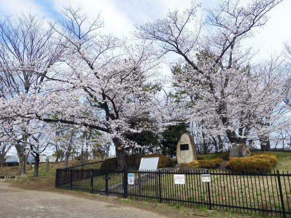 提供：公益財団法人東京都公園協会