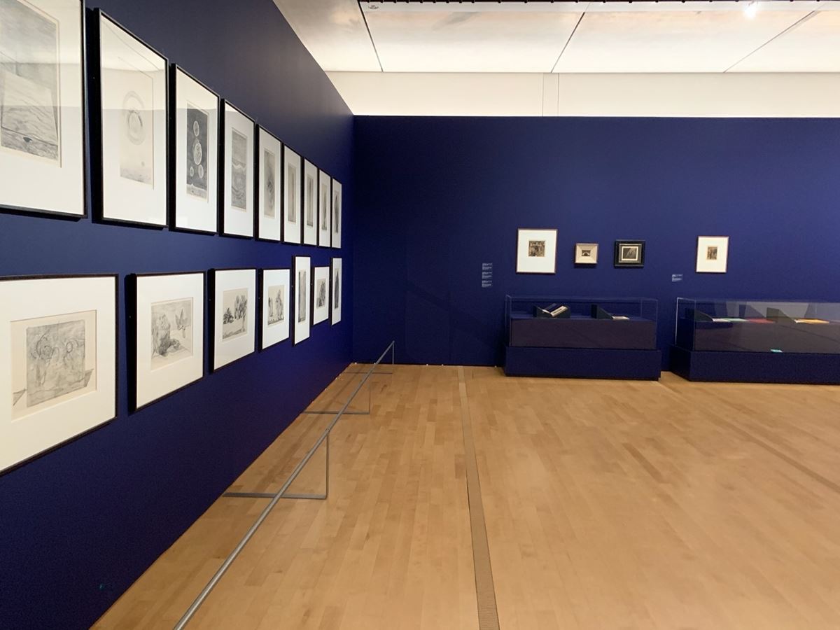 展示風景　左の壁には、エルンストのコロタイプ（写真製版法の一種）による『博物誌』が並ぶ