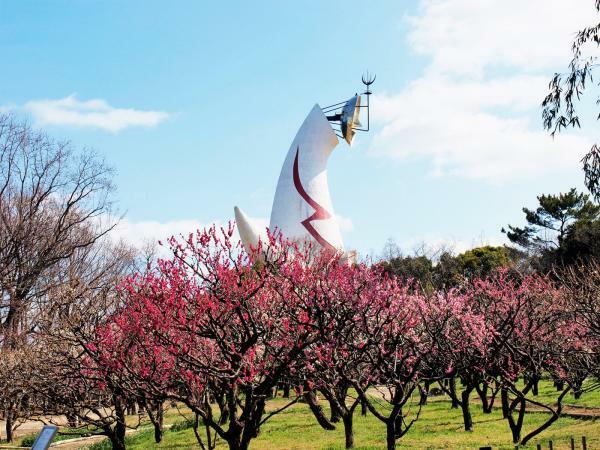 提供：万博記念公園マネジメント・パートナーズ