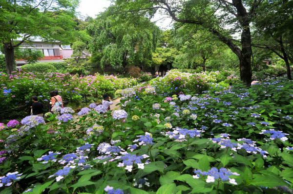 提供：公益社団法人千葉県観光物産協会