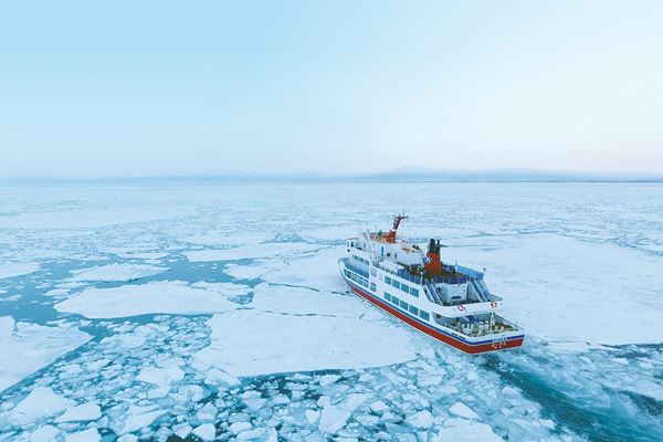 (C)東京流氷～COOL IT DOWN～」製作委員会