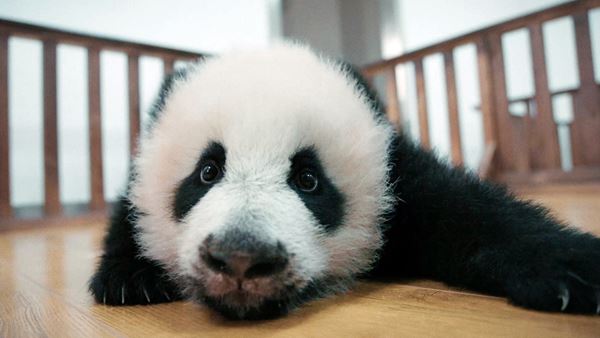 /shared/materials/f3cefc2e-d79d-4291-a964-94cdff9b92e2/thumbnail