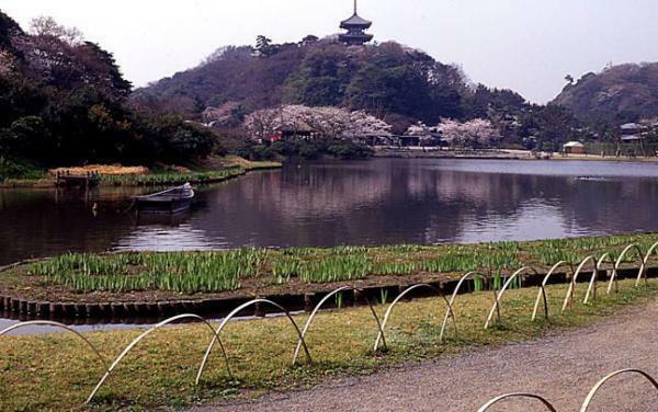 三溪園
