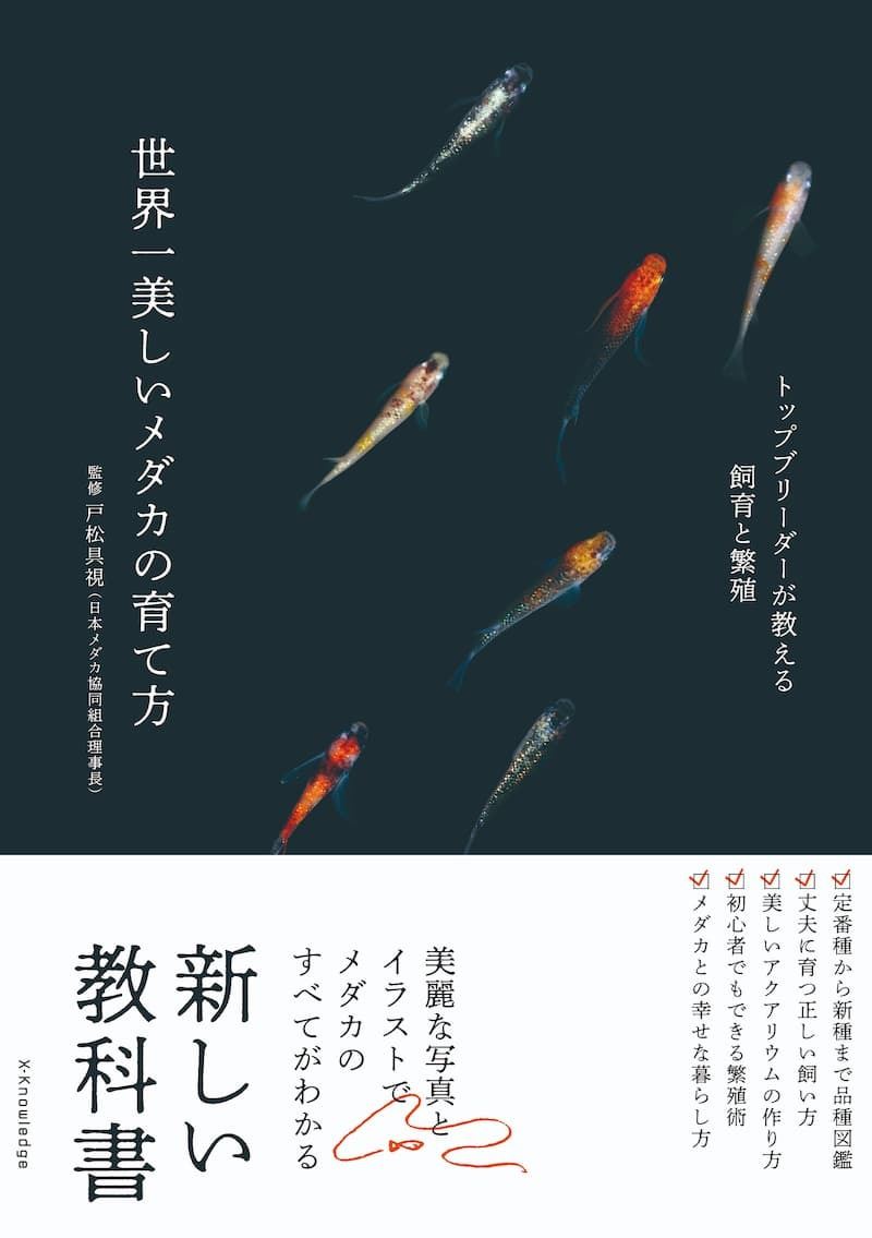 新種続々……空前のメダカ飼育ブーム トップブリーダーが教える『世界一