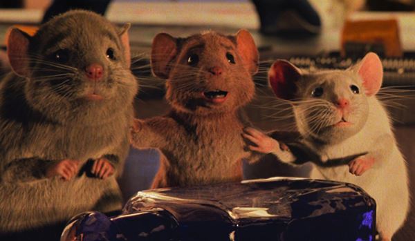 (C)2020 Warner Bros. Ent. All Rights Reserved.