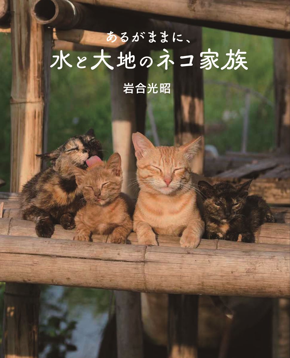 『劇場版 岩合光昭の世界ネコ歩き あるがままに、水と大地のネコ家族』 (c)Mitsuaki Iwago (c)「劇場版 岩合光昭の世界ネコ歩き 2」製作委員会
