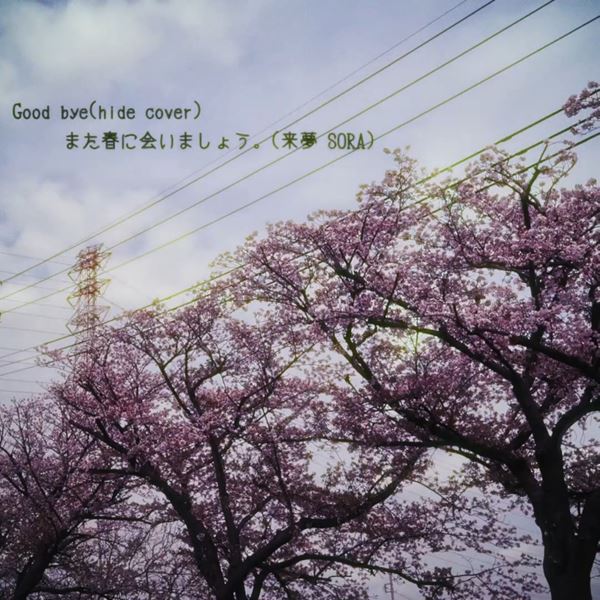 /shared/materials/f77bea20-ddf8-4056-b823-460d921772f3/thumbnail