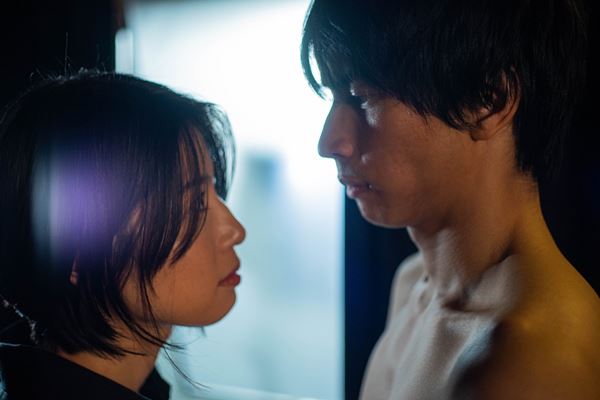 (C)SEDIC INTERNATOINAL,SEDIC-DILON