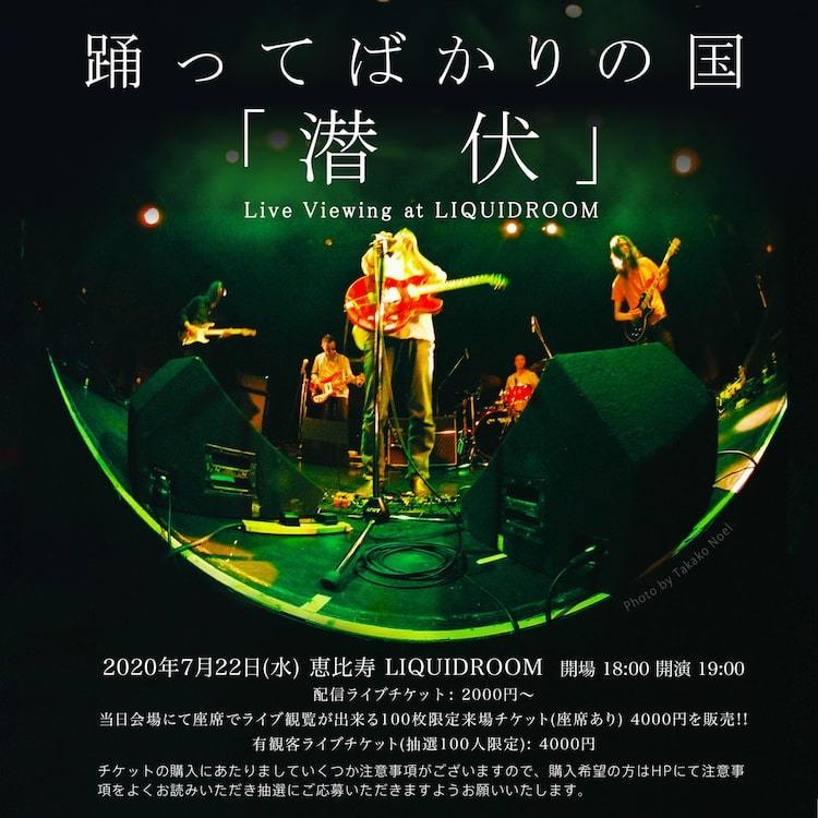 「踊ってばかりの国『潜伏』Live Viewing at LIQUIDROOM」告知ビジュアル