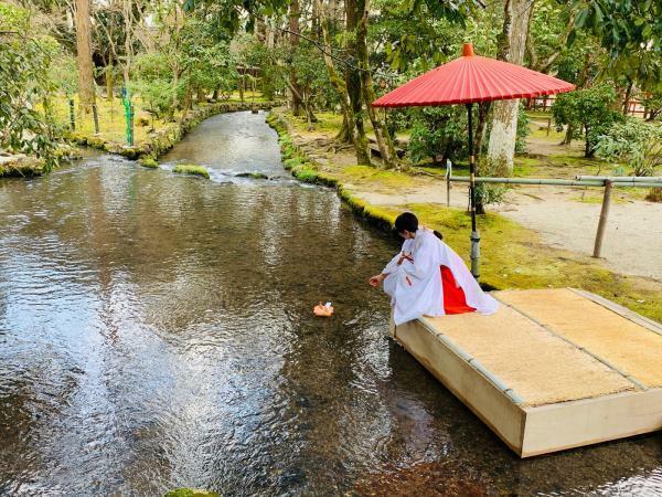 （c）賀茂別雷神社（上賀茂神社）※二次使用不可