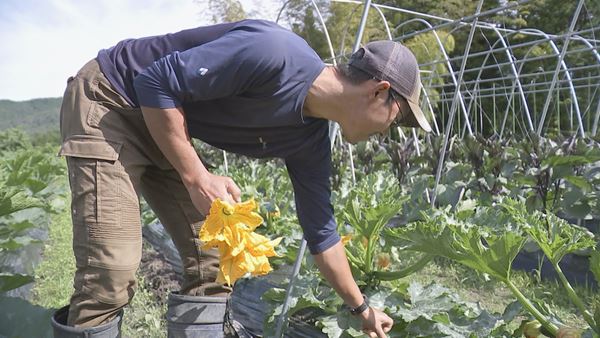 /shared/materials/f8a3cba7-bfd4-4134-a76b-f48eca881b4c/thumbnail