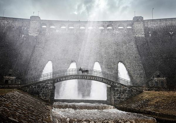 (C)2022 Skopia Film, Alien Films, Warmia-Masuria Film Fund/Centre for Education and Cultural Initiatives in Olsztyn, Podkarpackie Regional Film Fund, Strefa Kultury Wroc?aw, Polwell, Moderator Inwestycje, Veilo ALL RIGHTS RESERVED