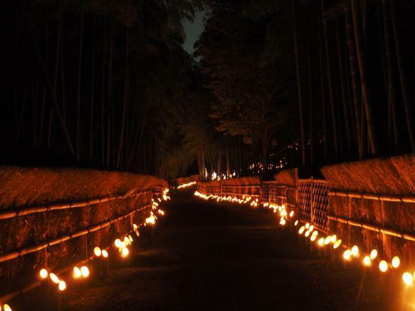 提供：向日市観光協会