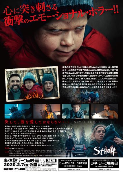 (C)SOK LLC (C)Yandex.Studio LLC (C)Star Media Distribution LLC 2019