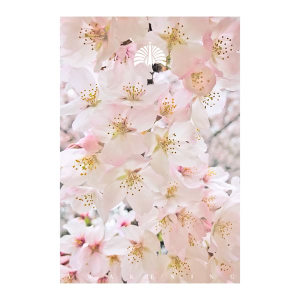 /shared/materials/fa2a3bbb-ca7a-47b0-81f5-1f9542b1faf1/thumbnail