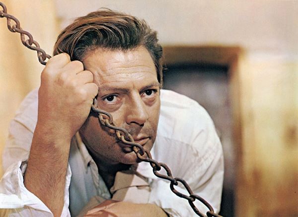 (C)Films Sans Frontieres