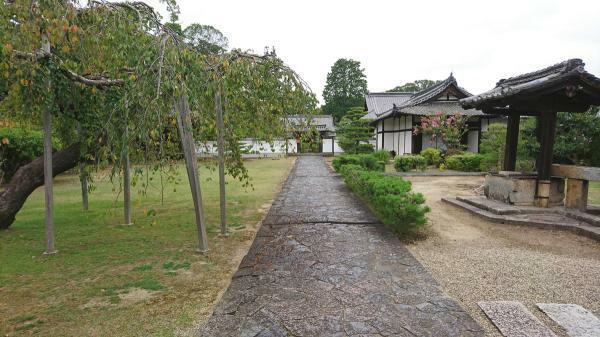 提供：東大寺