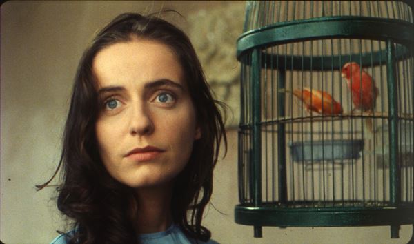 アブラハム渓谷 完全版〈2K修復版〉」の映画館(上映館) - ぴあ映画