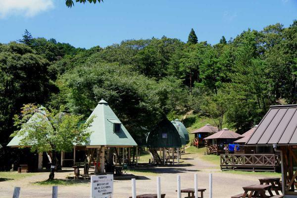 千葉県立清和県民の森
