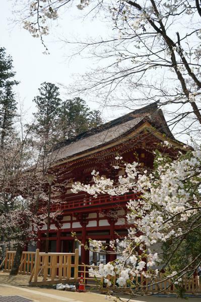 提供：総本山金剛峯寺