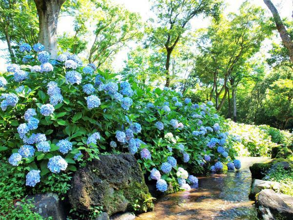 提供：万博記念公園マネジメント・パートナーズ