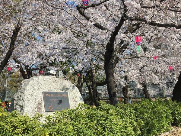 鶴舞公園花まつり ぴあエンタメ情報 鶴舞公園花まつり ぴあエンタメ情報