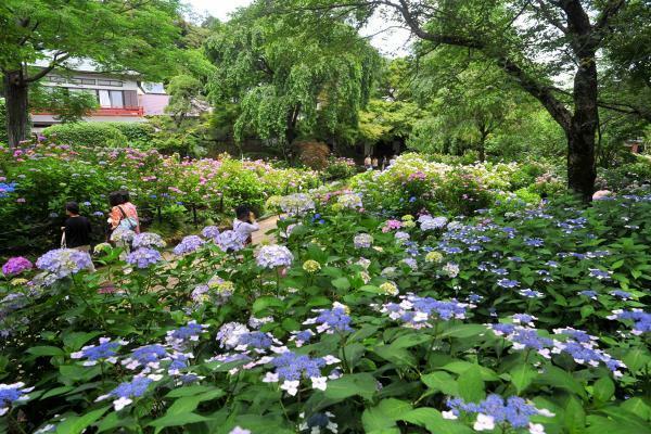 提供：公益社団法人千葉県観光物産協会